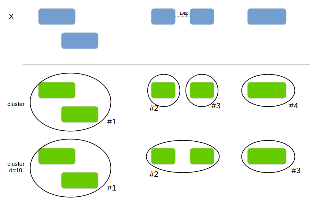 genome_cluster